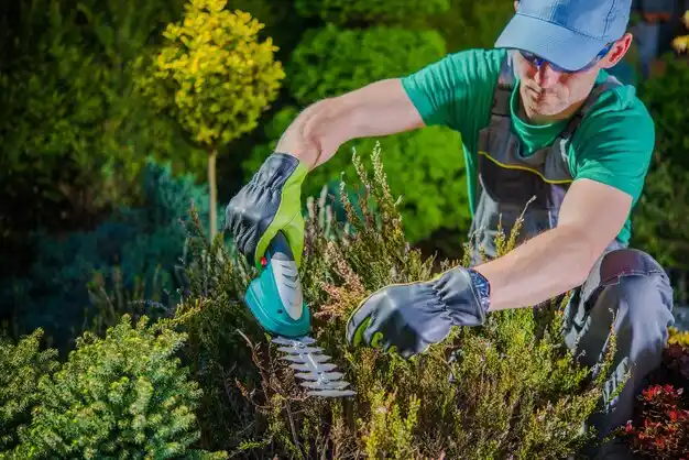 landscaping services Jonesville